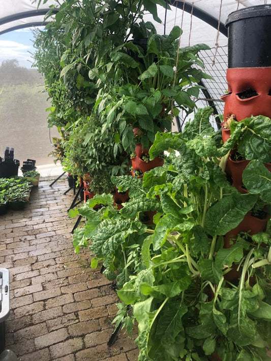 GeoTower Vertical Growing Planter 33 Hole Tower with Growing Medium and Slow Release Fertilizer