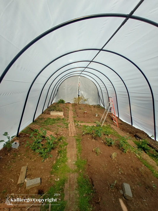 12m x 5m Greenhouse Installed in Gauteng