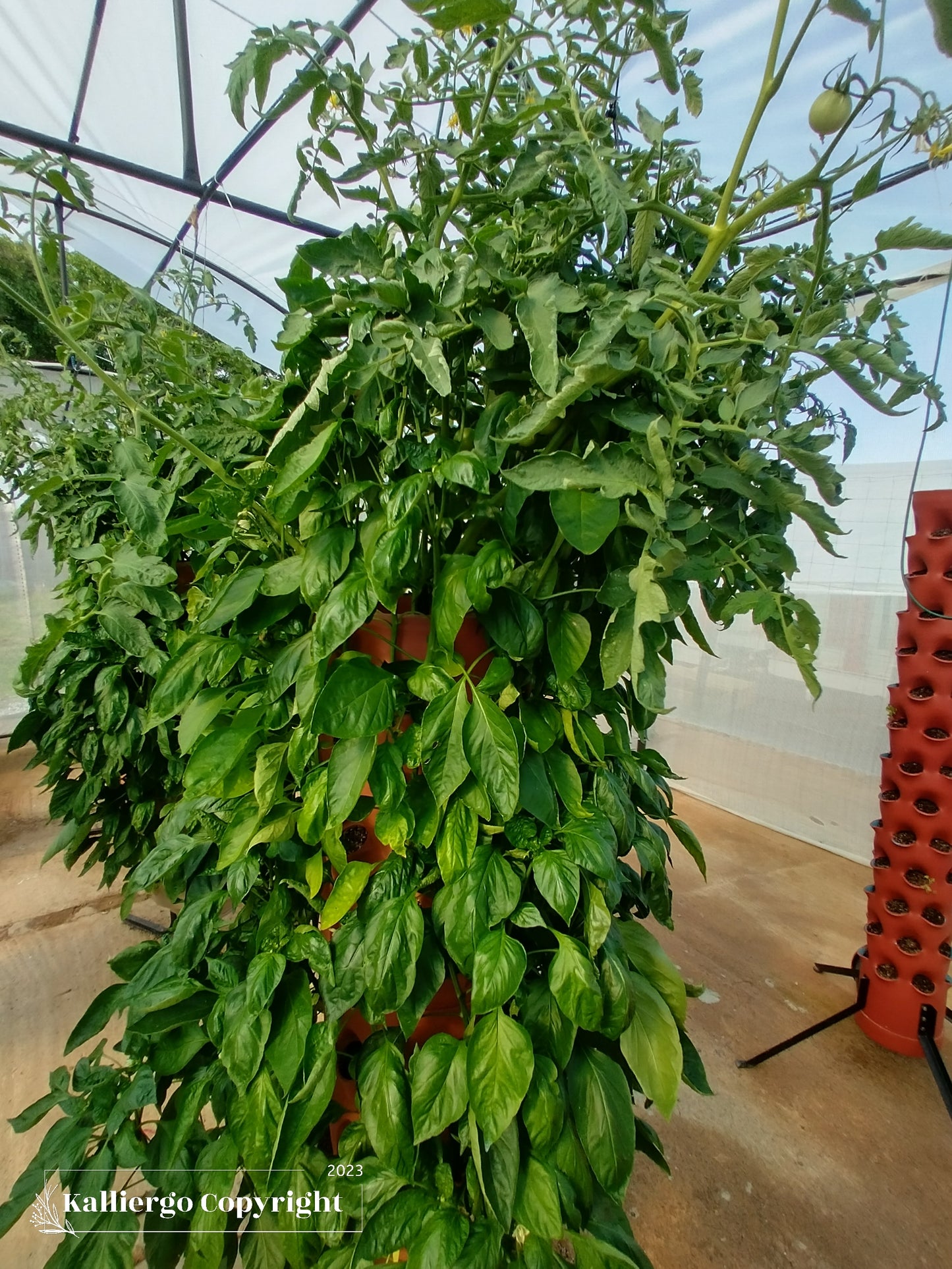 GeoTower Vertical Grower planter System 66 Hole With Growing Medium and Slow Release Fertilizer