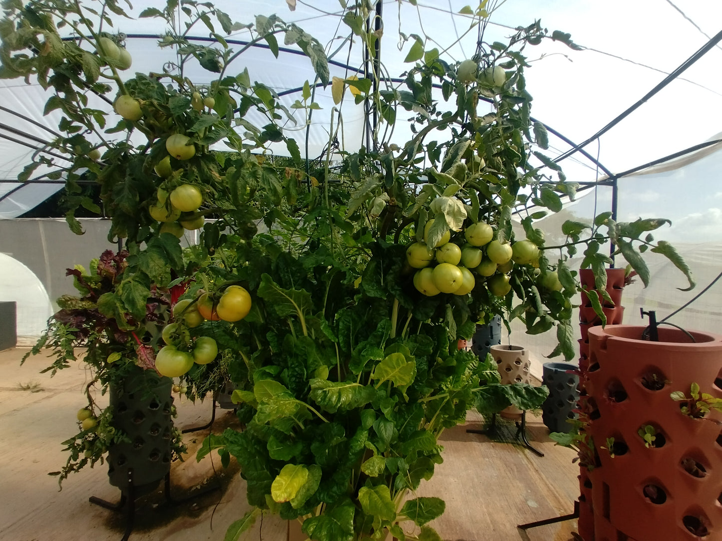 GeoTower Vertical Grower planter System 66 Hole With Growing Medium and Slow Release Fertilizer