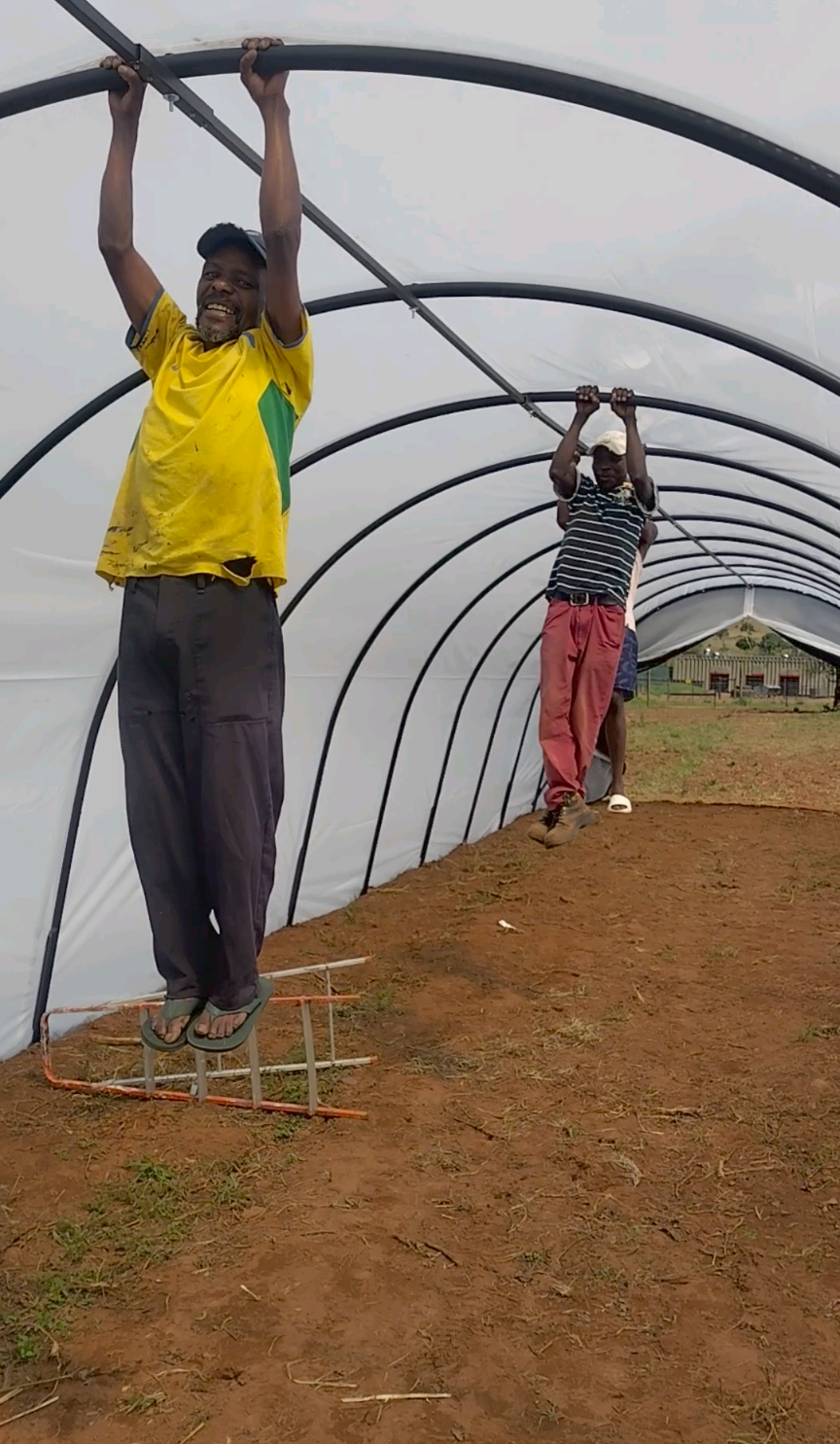 5m x 6m x 2.6m/2.7m Greenhouse Installed in Gauteng