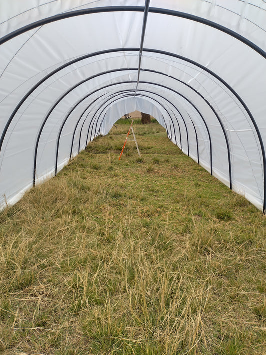 DIY Caterpillar Tunnel