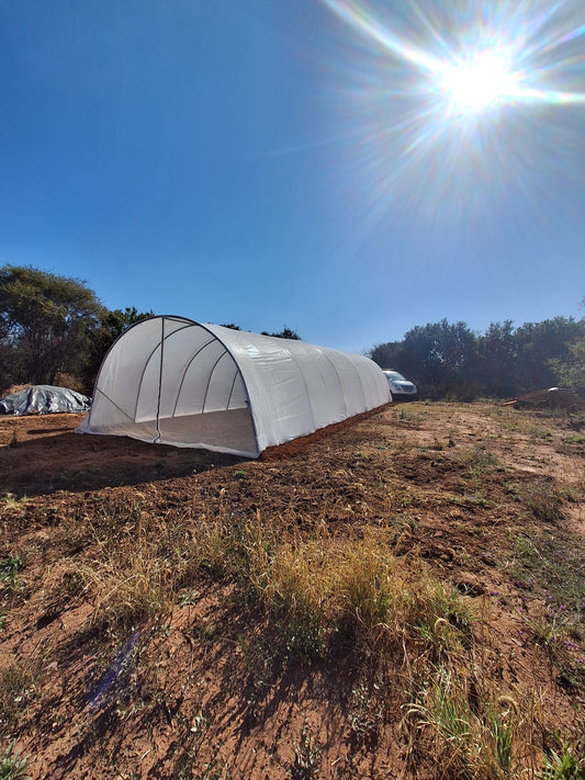 5m x15m Greenhouse Installed in Gauteng