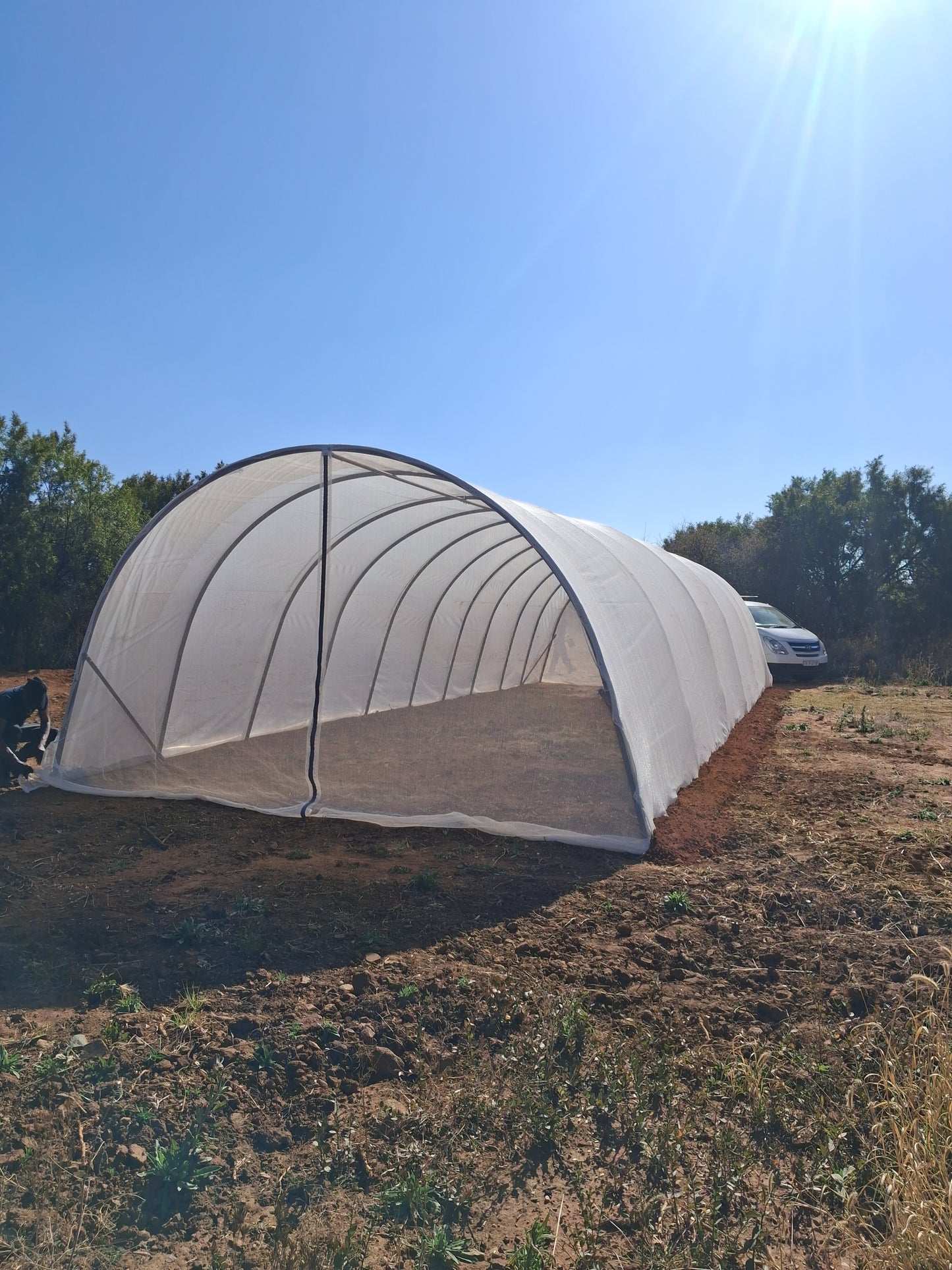 5m x15m Greenhouse Installed in Gauteng