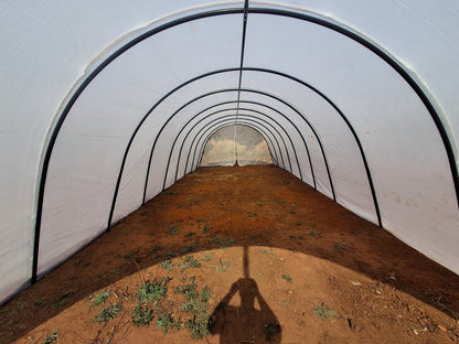 5m x15m Greenhouse Installed in Gauteng