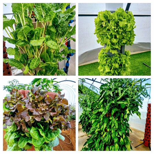 GeoTower Vertical Growing Planter 33 Hole Tower with Growing Medium and Slow Release Fertilizer