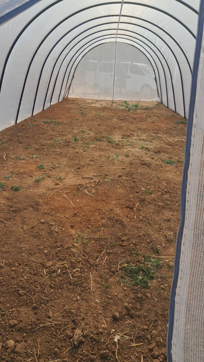 5m x15m Greenhouse Installed in Gauteng