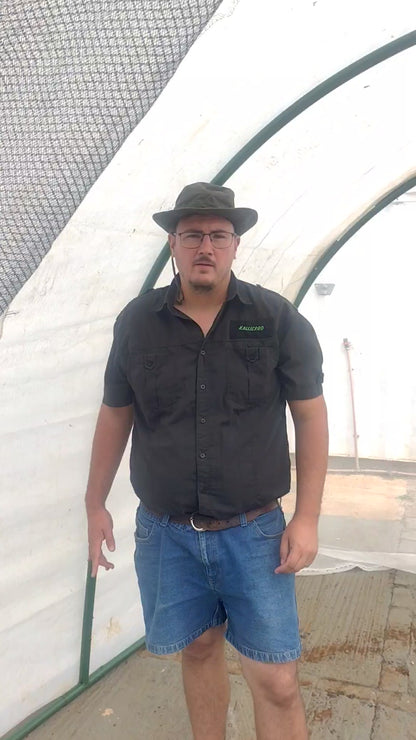 3m DIY Greenhouse