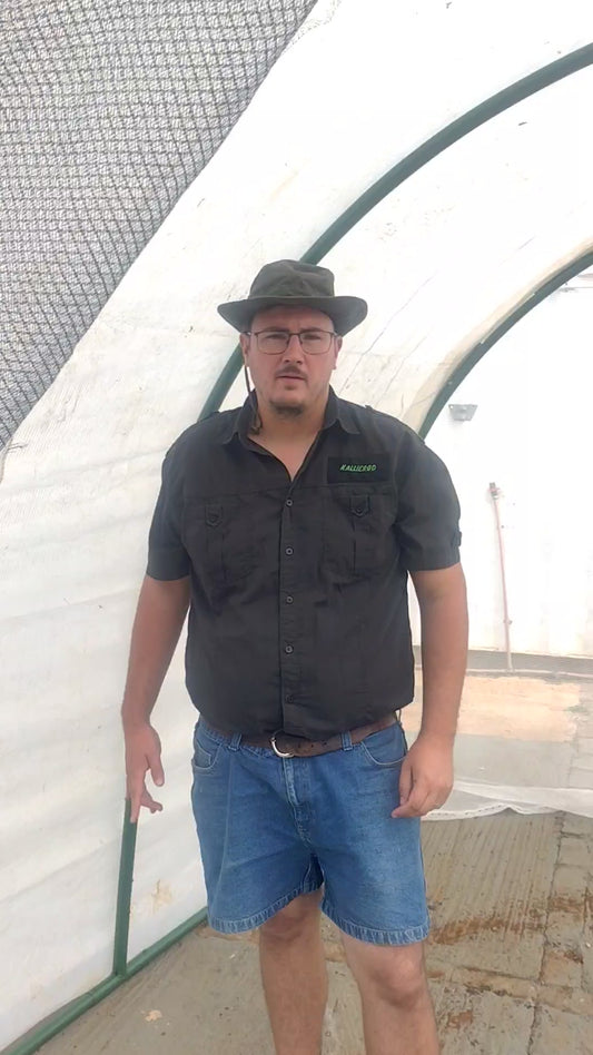3m x 3m DIY Greenhouse