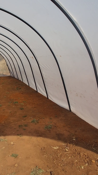 5m x15m Greenhouse Installed in Gauteng