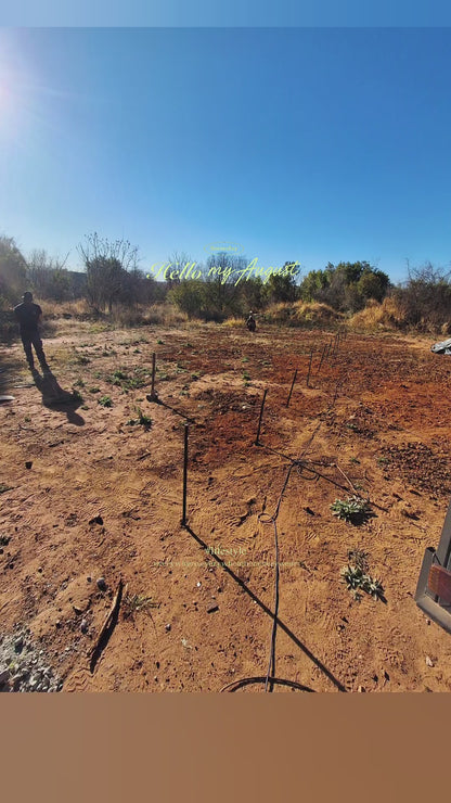 5m x15m Greenhouse Installed in Gauteng