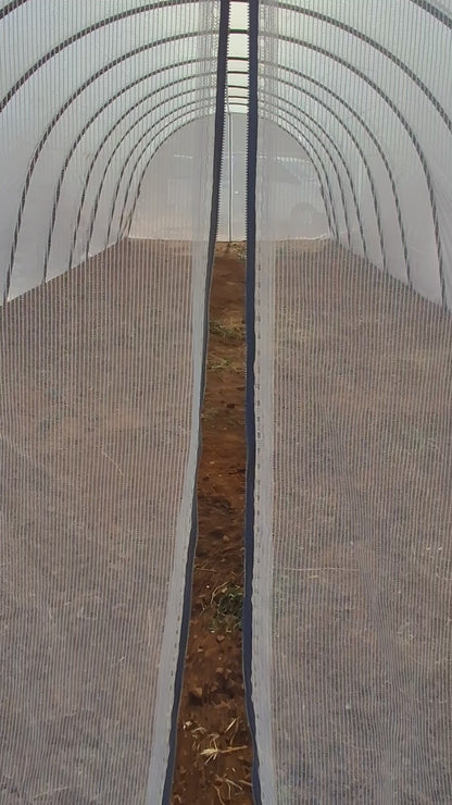 5m x15m Greenhouse Installed in Gauteng