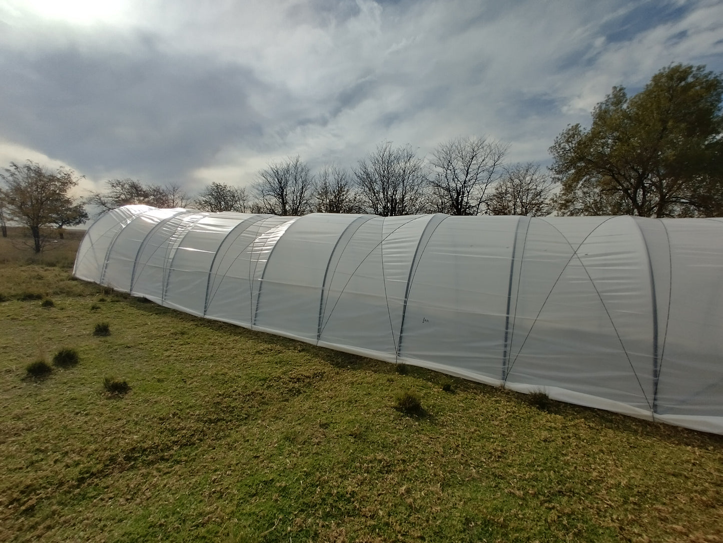 DIY Caterpillar Tunnel