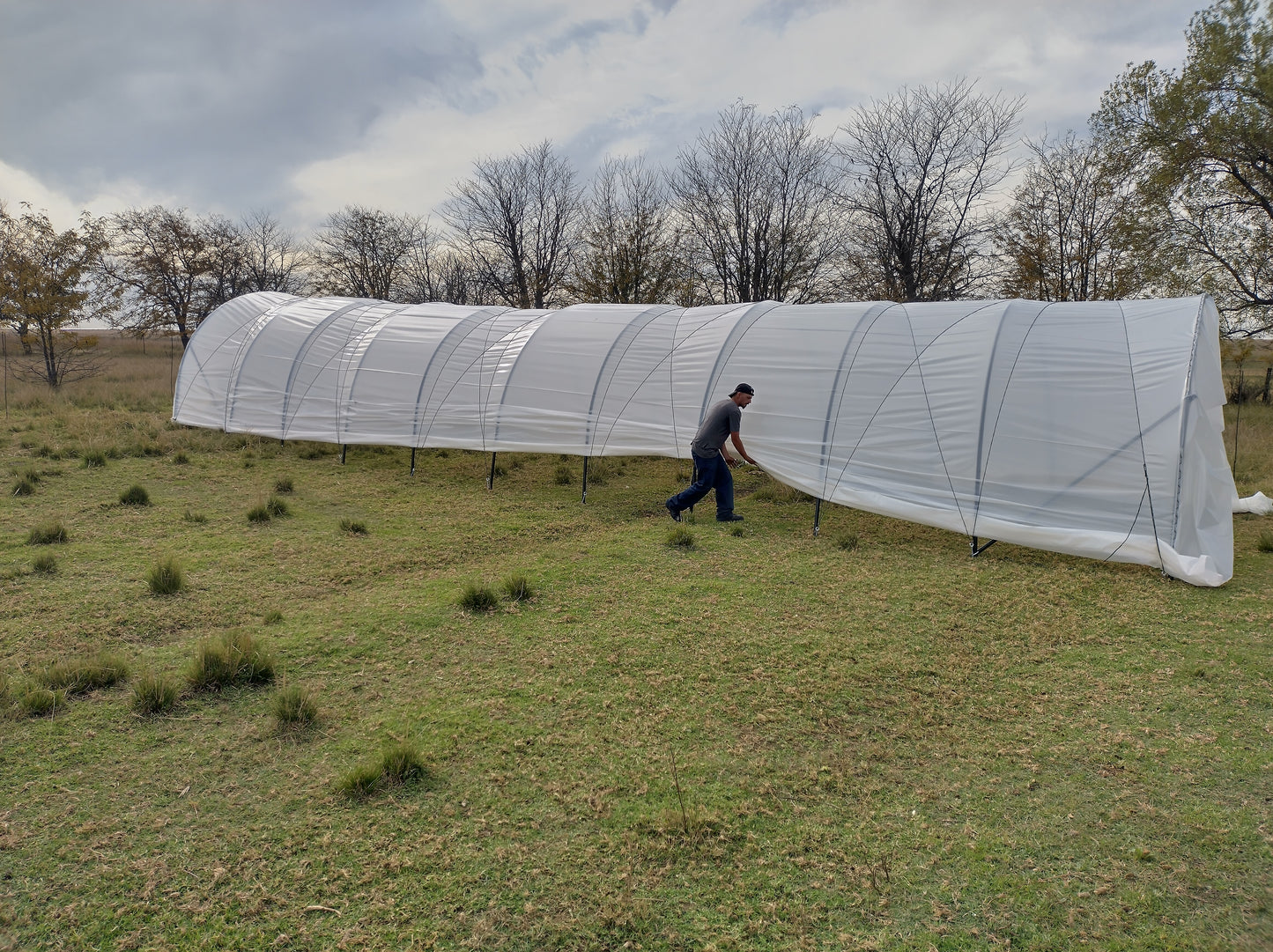 DIY Caterpillar Tunnel