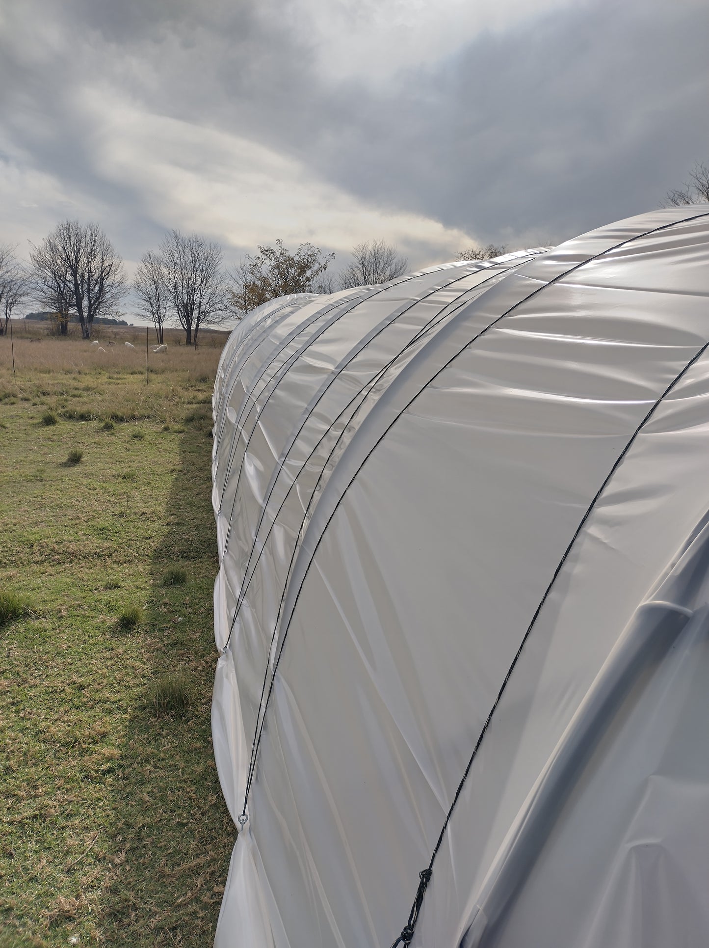 DIY Caterpillar Tunnel
