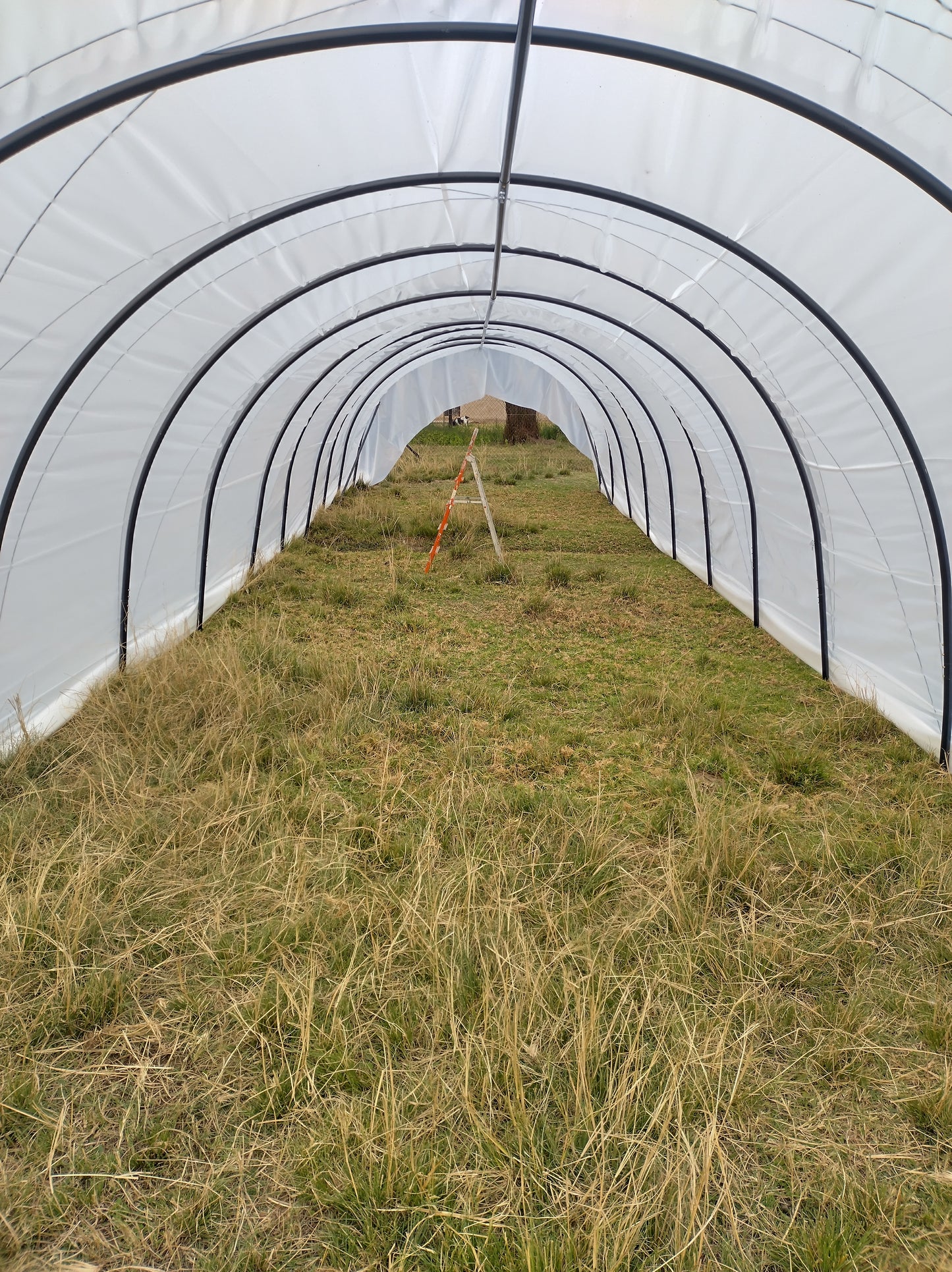 DIY Caterpillar Tunnel