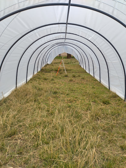 DIY Caterpillar Tunnel